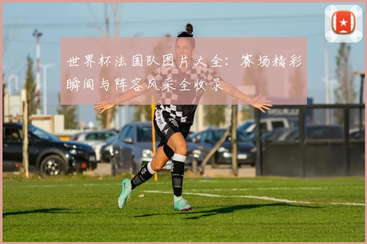 世界杯法国队图片大全：赛场精彩瞬间与阵容风采全收录