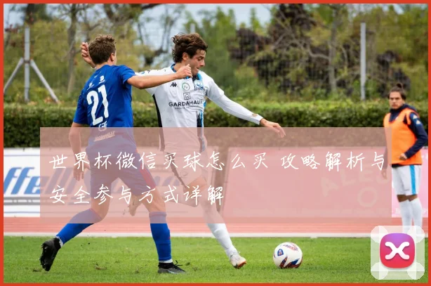 世界杯微信买球怎么买 攻略解析与安全参与方式详解