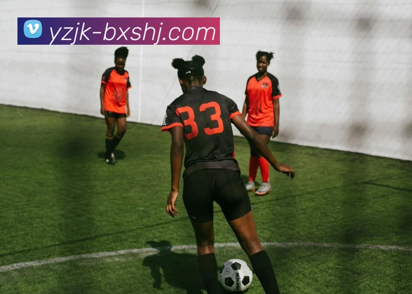 多媒体互动体验