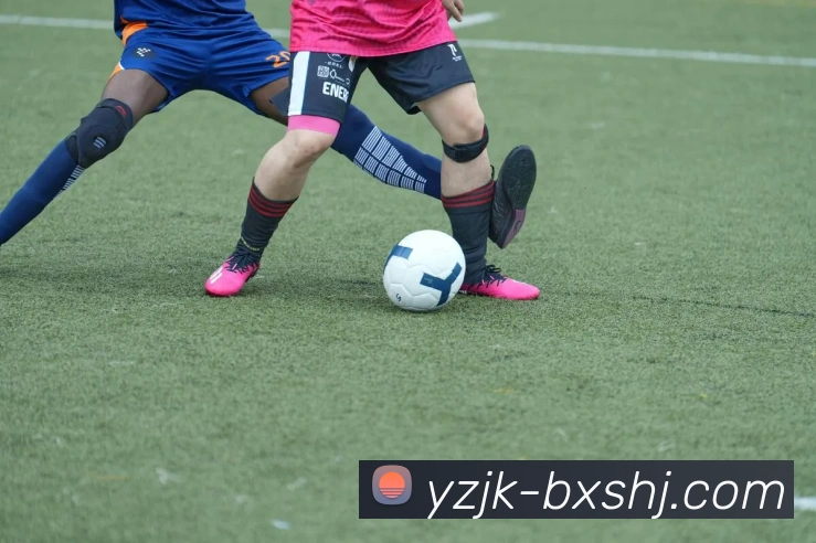 leyu网APP 体育赛事宣传图